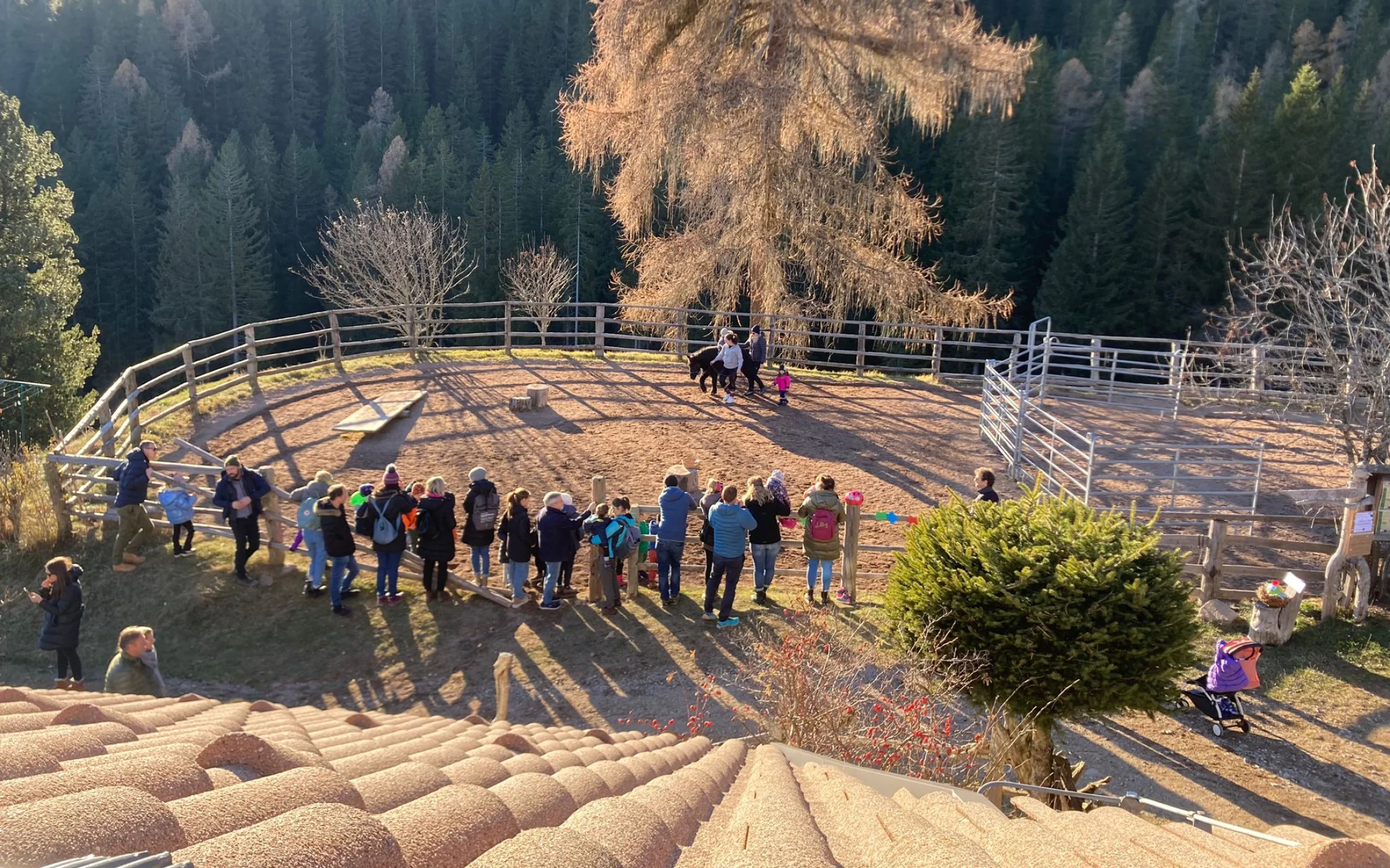Flachenhof_Advent am Bauernhof 2024 6.jpg